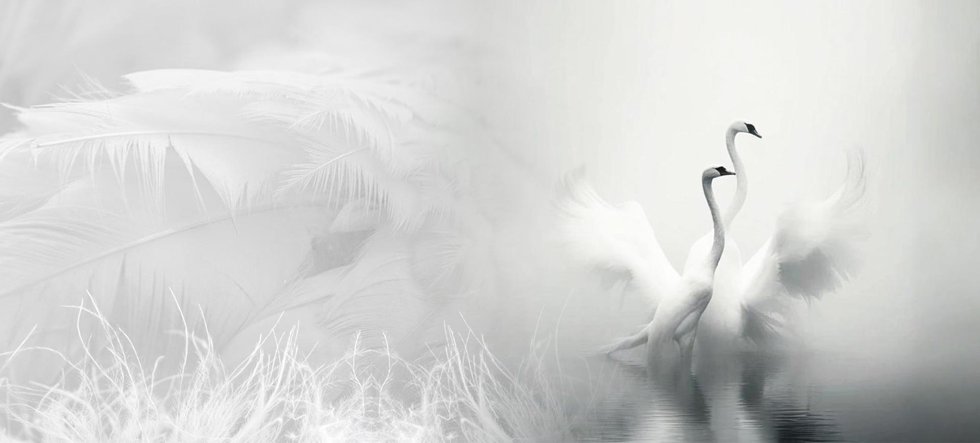 浙江盛傑ダウン製品有限公司