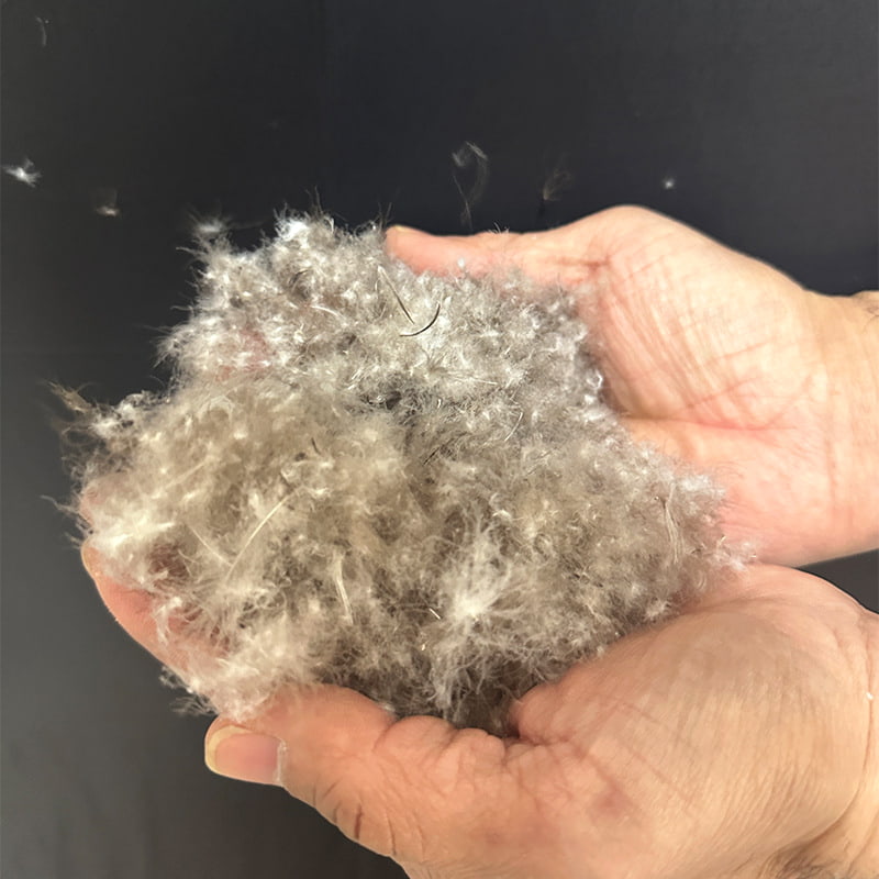 80% グレーダックダウン