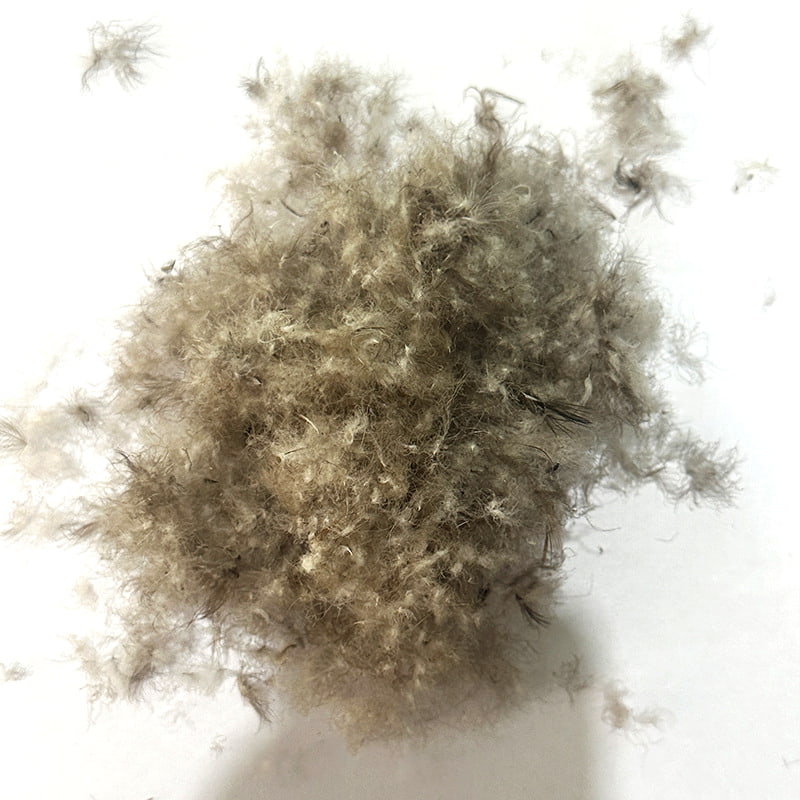 50% グレーダックダウン 50% グレーダックダウン