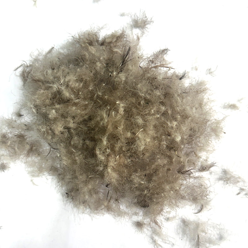 50% グレーダックダウン 50% グレーダックダウン