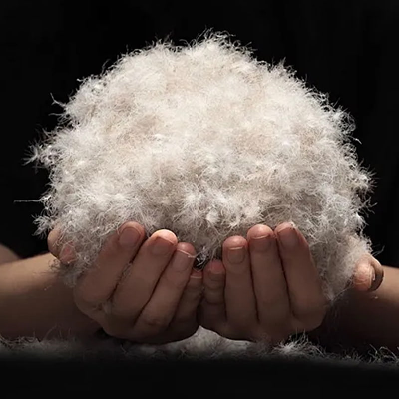 50% グレーダックダウン 50% グレーダックダウン