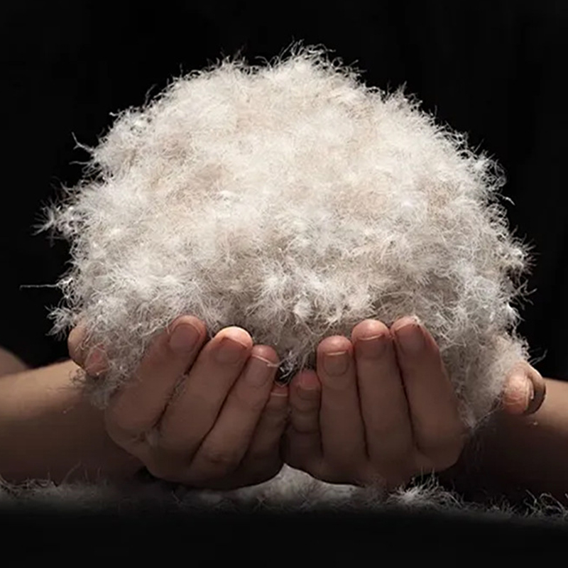 90% グレーダックダウン