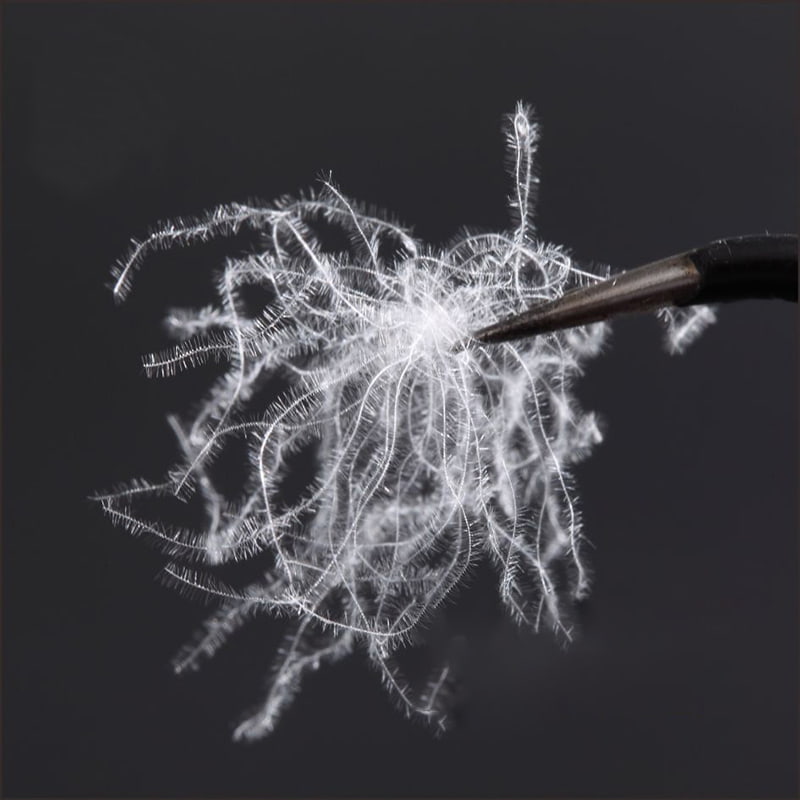 80% ピュアホワイトダックダウン