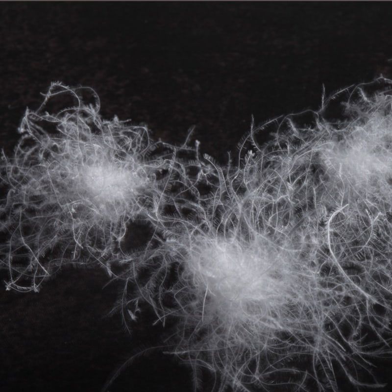 ホワイトグースダウン90% ホワイトグースダウン90%