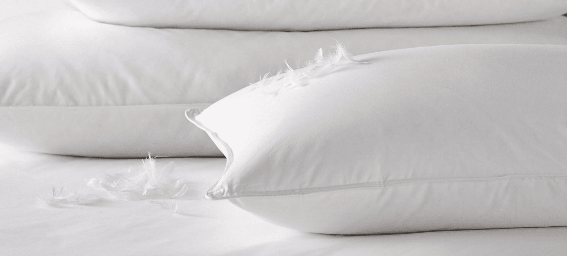 浙江盛傑ダウン製品有限公司