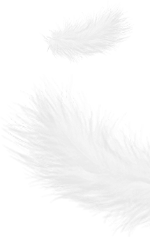 浙江盛傑ダウン製品有限公司