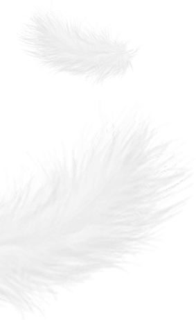 浙江盛傑ダウン製品有限公司