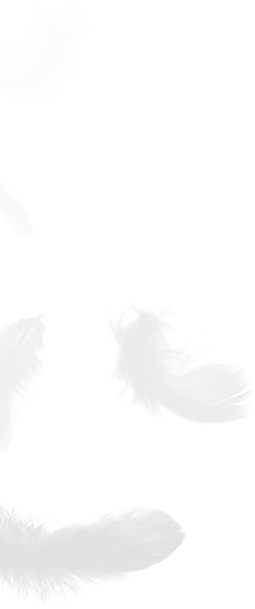 浙江盛傑ダウン製品有限公司